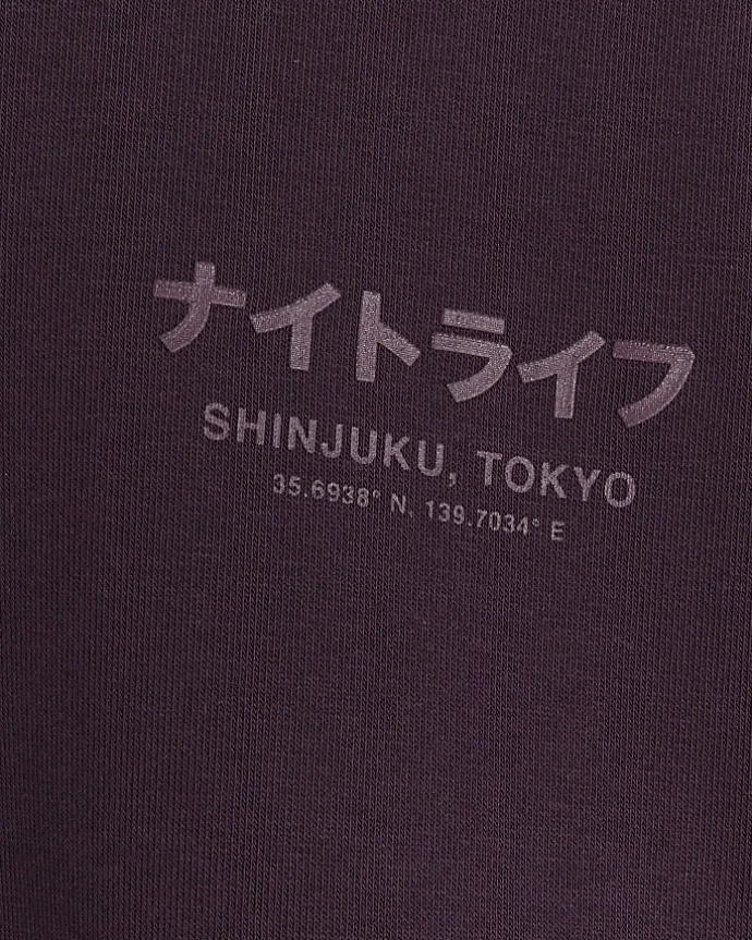 Purple regular fit Japanese graphic hoodie